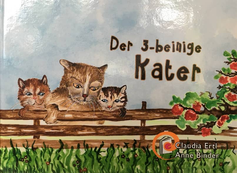 Der 3-beinige Kater